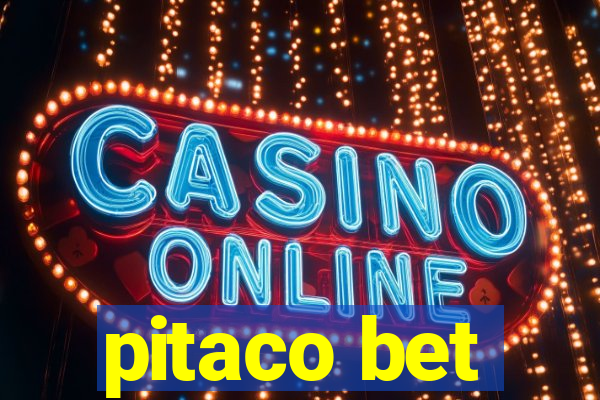 pitaco bet